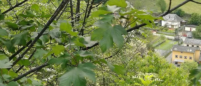 Hotel Rural La Pista Vega de Rengos