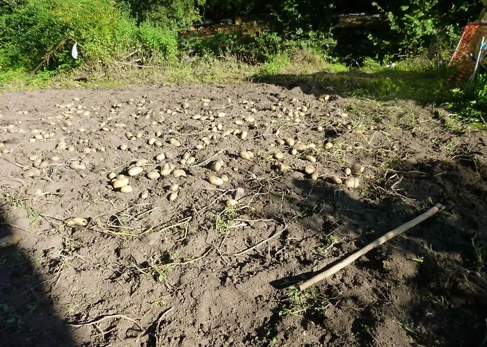 Rural La Pista Hotel *